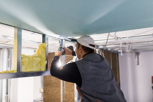 Best Insulation for Specific Applications in Lemon Grove, CA