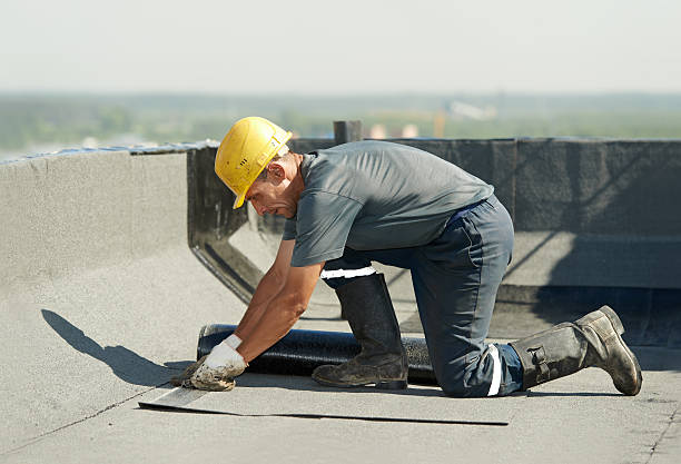 Best Insulation Installation Services in Lemon Grove, CA